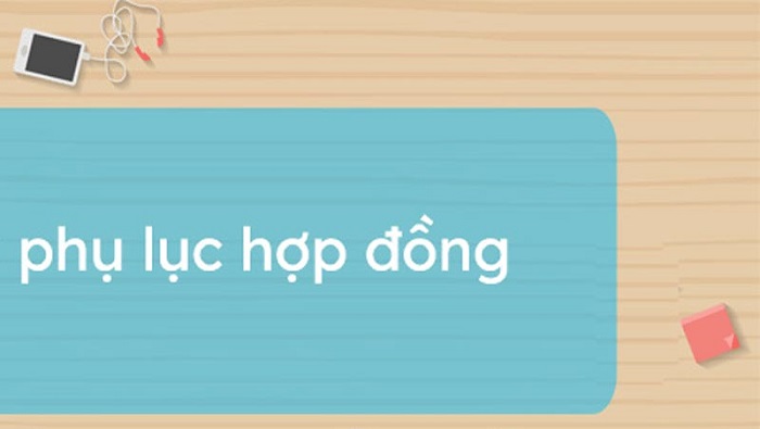 phu-luc-dinh-kem-hop-dong